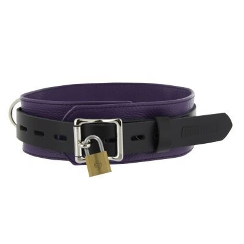 Strict Leather Deluxe Locking Collar - Purple and Black