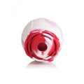 Bloomgasm the rose lovers gift box swirl